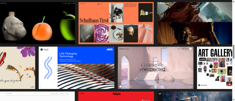 Screenshot of WordPress blogs and websites.
