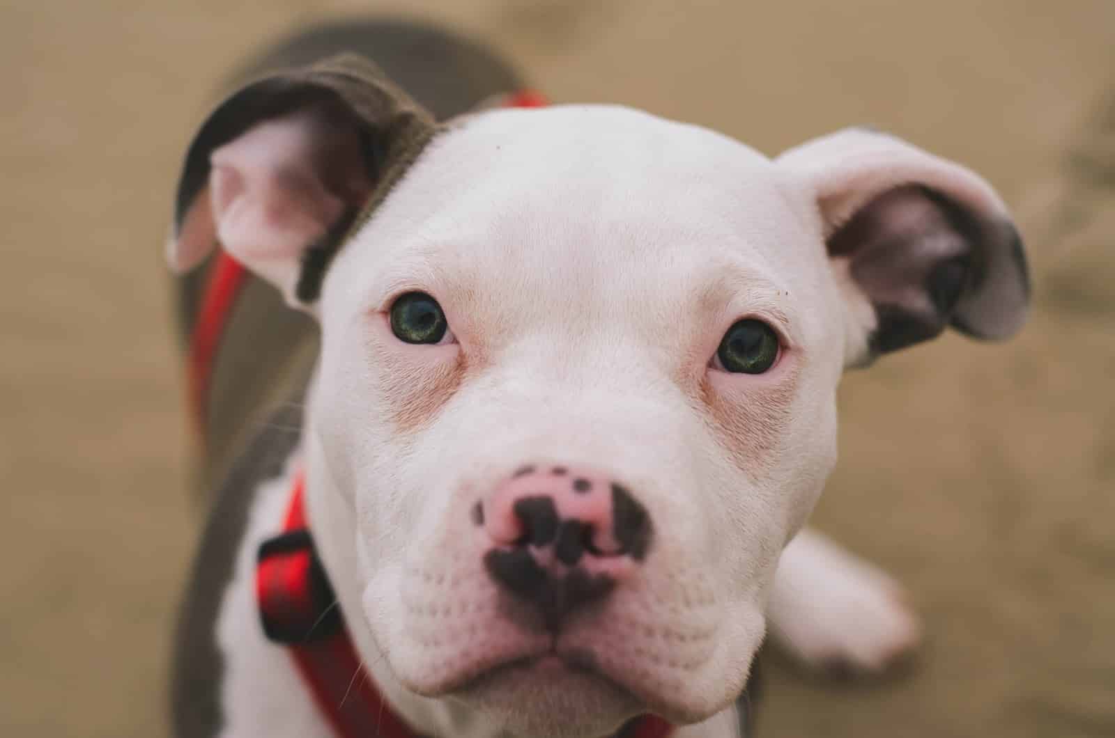 lucas ludwig 580293 unsplash min