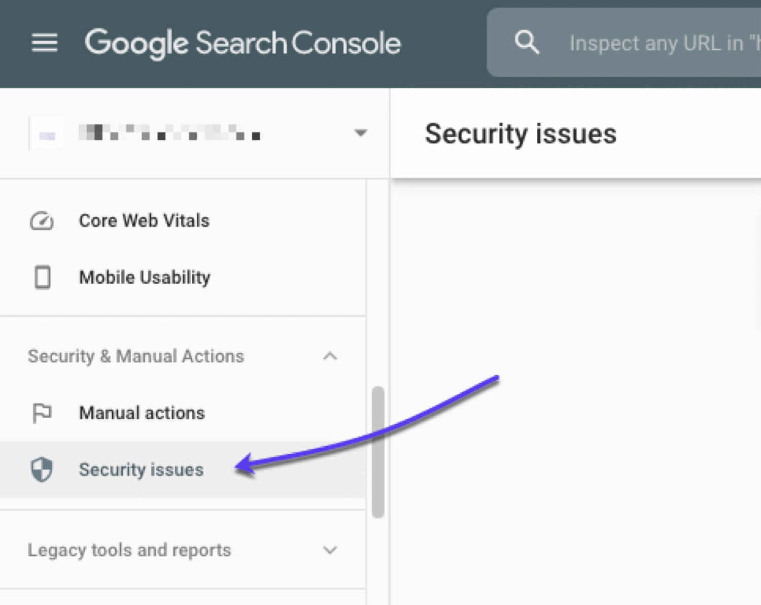 security issues option
