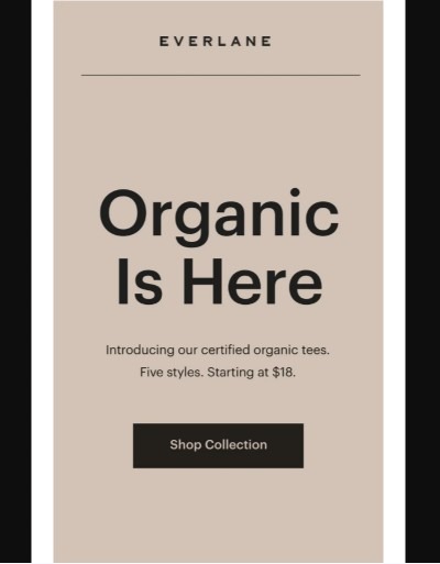 Choppy copywriting from an Everlane marketing email