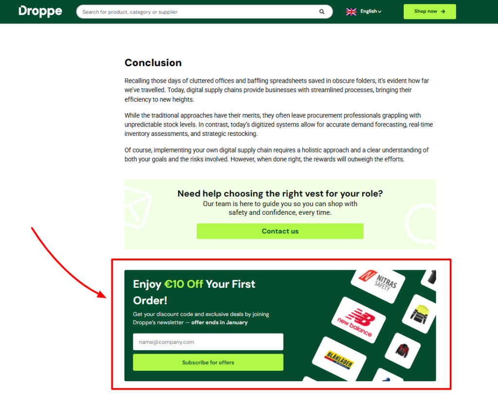 Screenshot shows an email lead magnet at the end of a blog post.