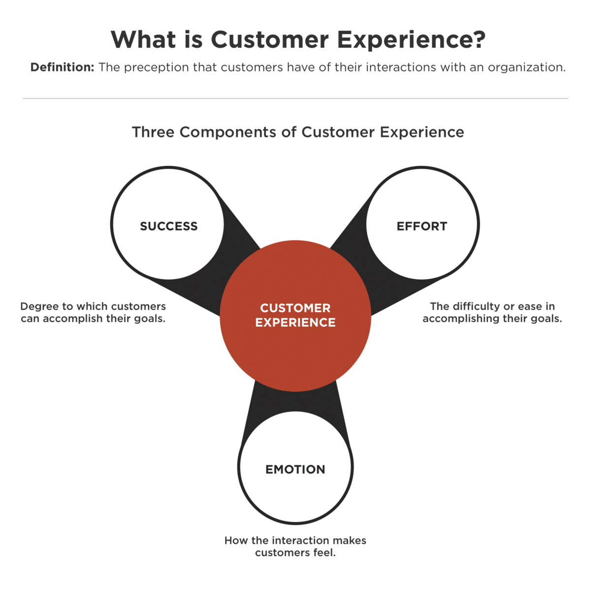 graphic showing the components of customer experience