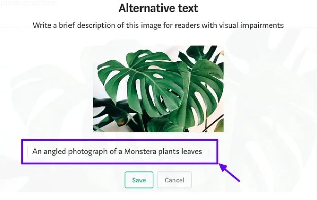 Screenshot of an image optimized with Alt text for Medium SEO.