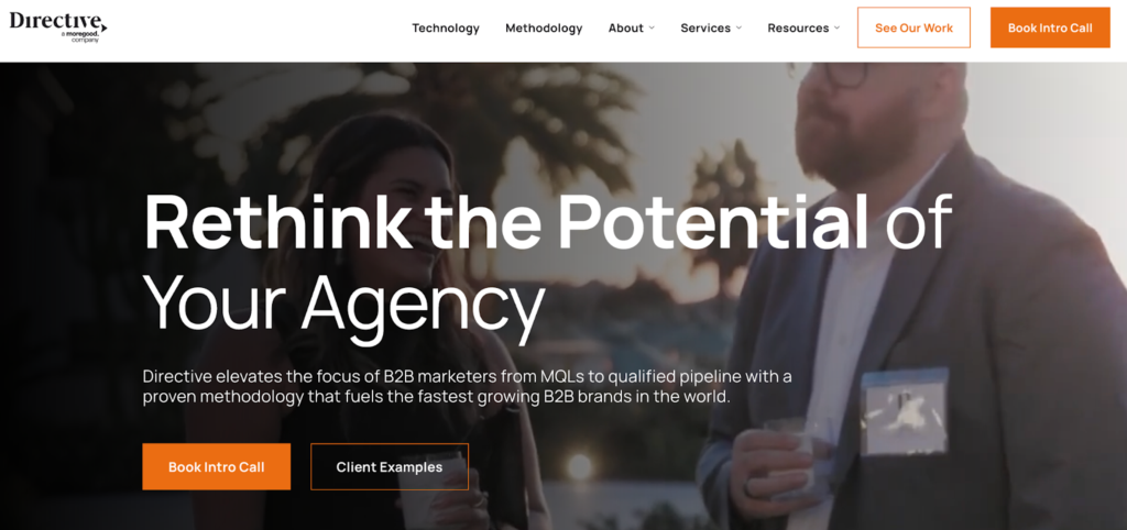 Directive Consulting’s Hompage with a call button and client examples button