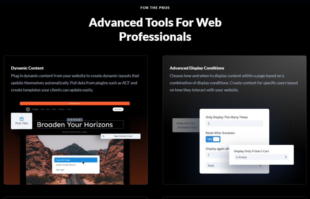 Divi's advanced tools, like dynamic content and display conditions.