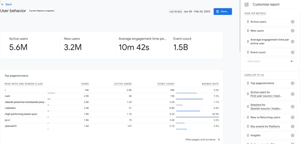 Google Analytics User Behavior Report