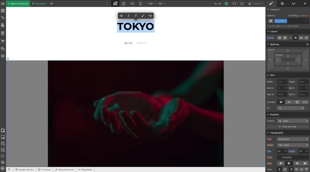 Webflow Blog CMS Editor