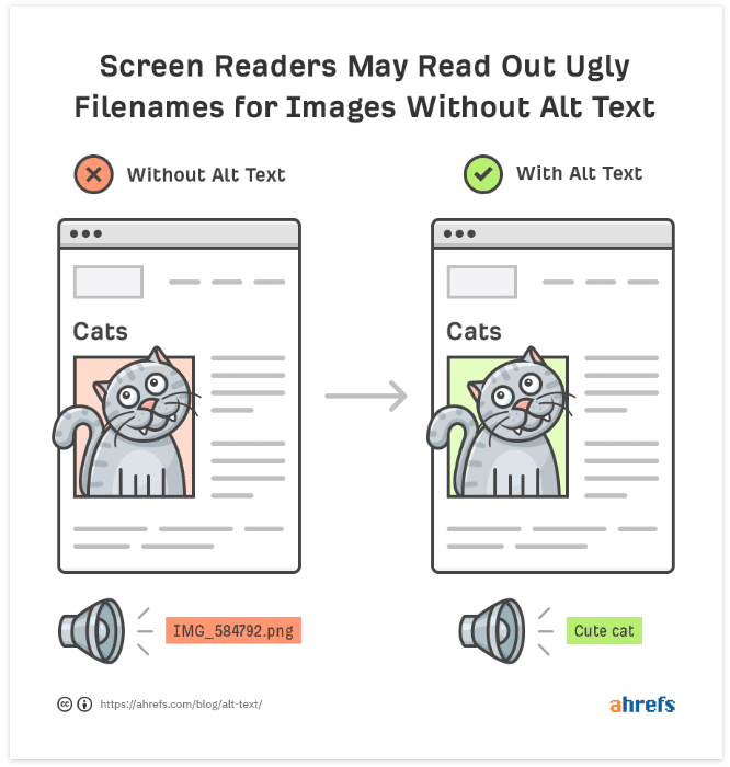 Image alt text
